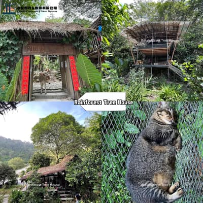 Rainforest Tree House Kulai Johor — eco treehouse stay in Gunung Pulai rainforest with jungle trekking and waterfall